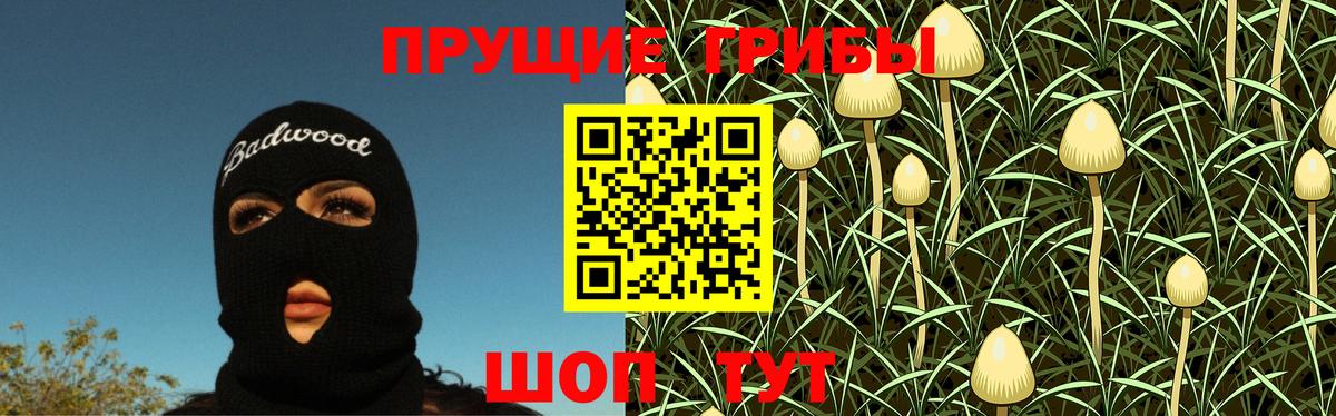 Аксай  Псилоцибиновые грибы Psilocybine cubensis  Вход с VPN  Галлюциногенные грибы Magic Shrooms 